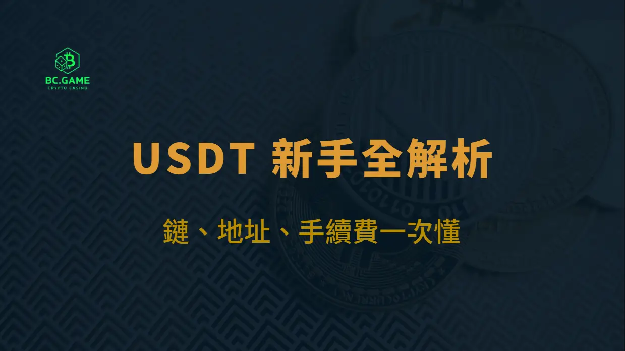 USDT 新手全解析：鏈、地址、手續費一次懂（BC娛樂城版）