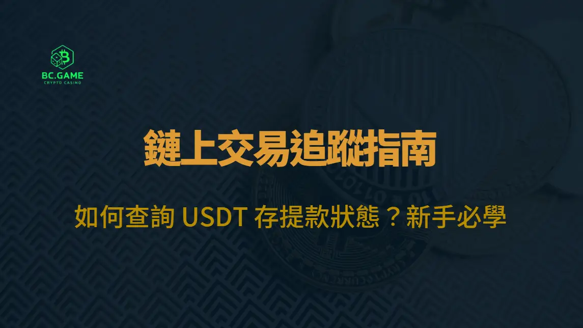 鏈上交易追蹤指南：如何查詢 USDT 存提款狀態？新手必學