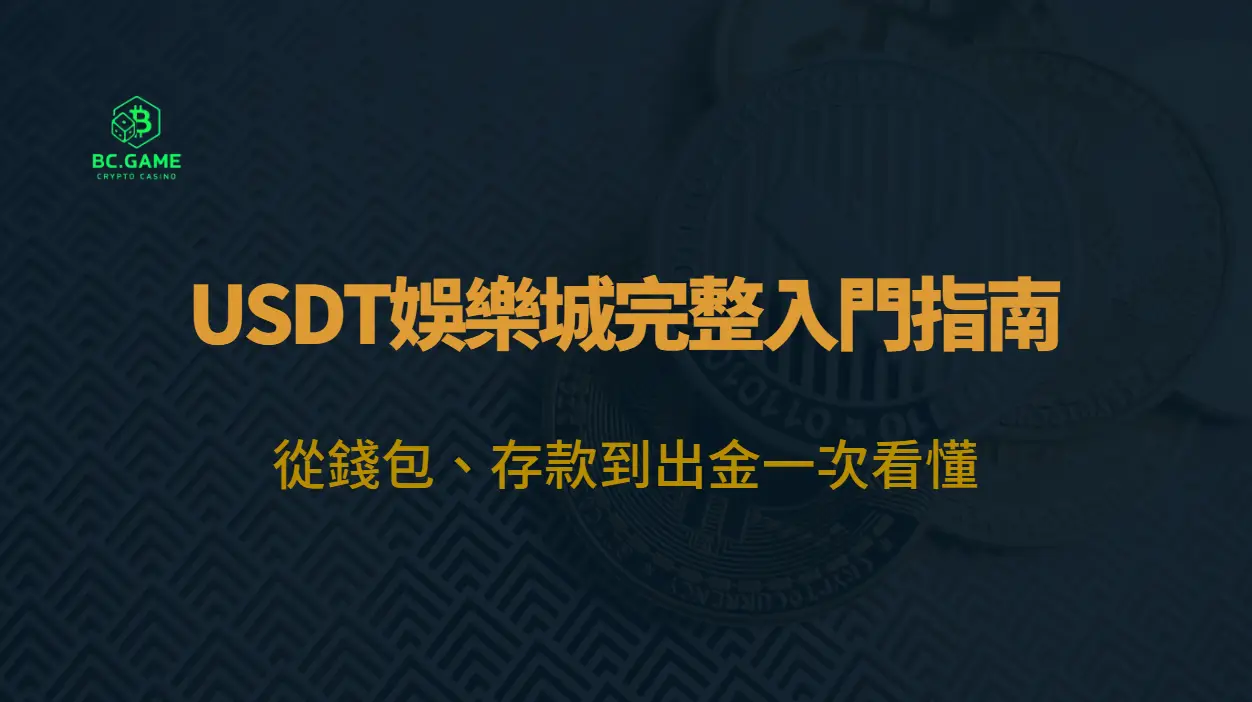 USDT娛樂城完整入門指南：從錢包、存款到出金一次看懂（2026最新）｜BC娛樂城玩家必讀