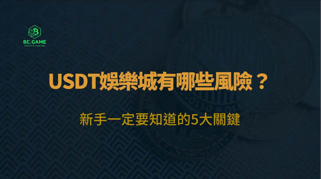 USDT娛樂城有哪些風險？新手一定要知道的5大關鍵（2026安全指南）