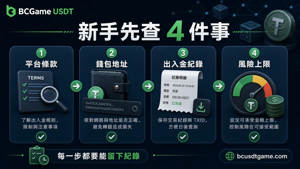 USDT娛樂城新手使用前檢查圖，包含平台條款、錢包地址、出入金紀錄與風險上限