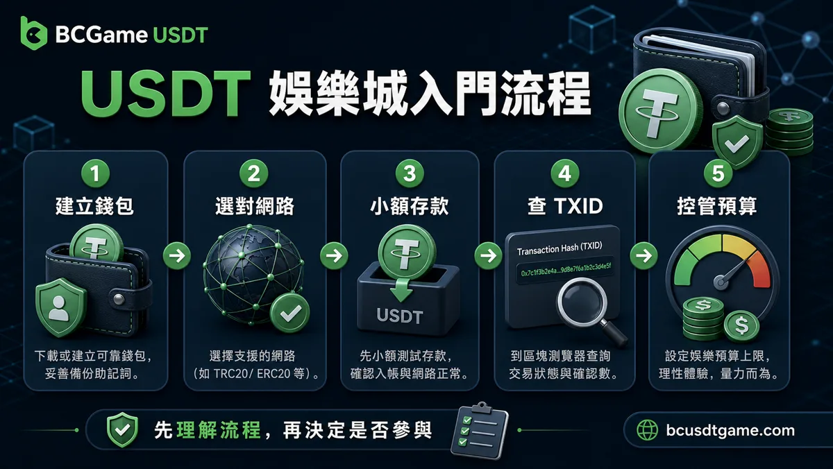 USDT娛樂城入門流程圖，包含建立錢包、選對網路、小額存款、查TXID與控管預算