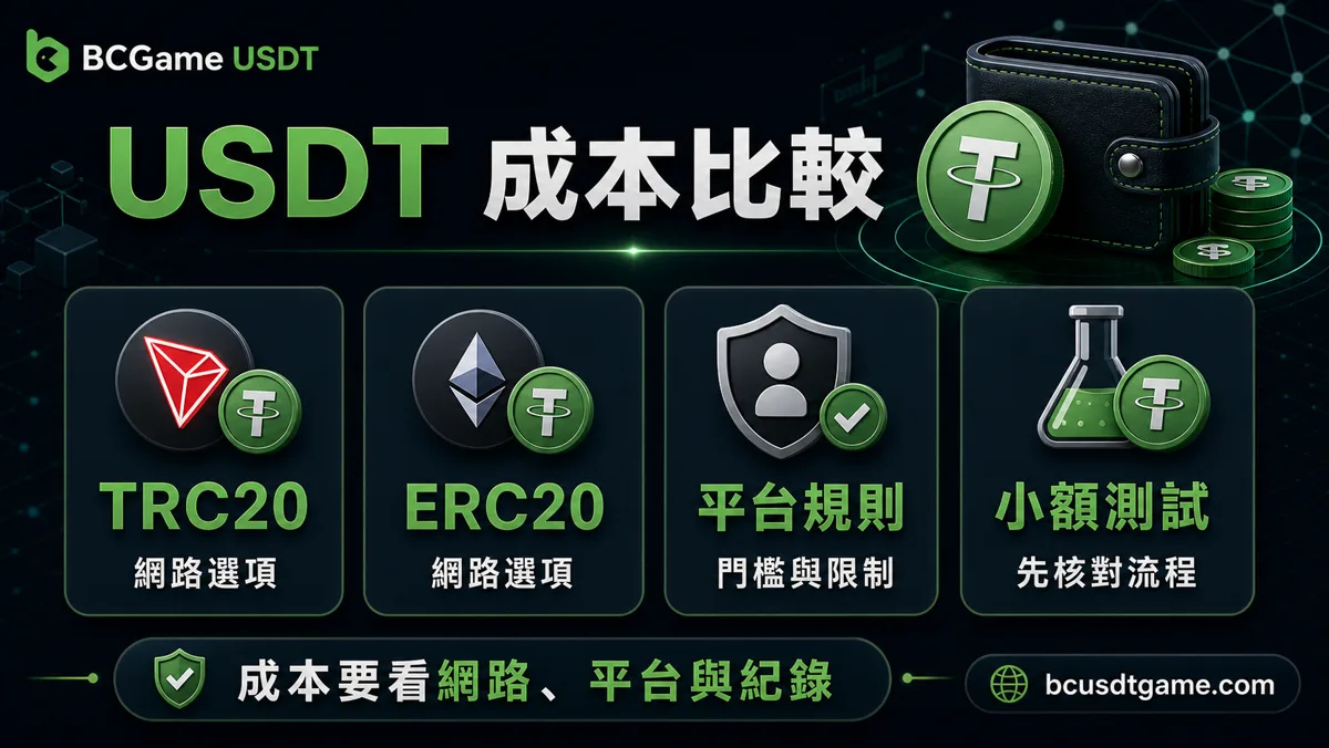 USDT成本比較圖，包含TRC20、ERC20、平台規則與小額測試