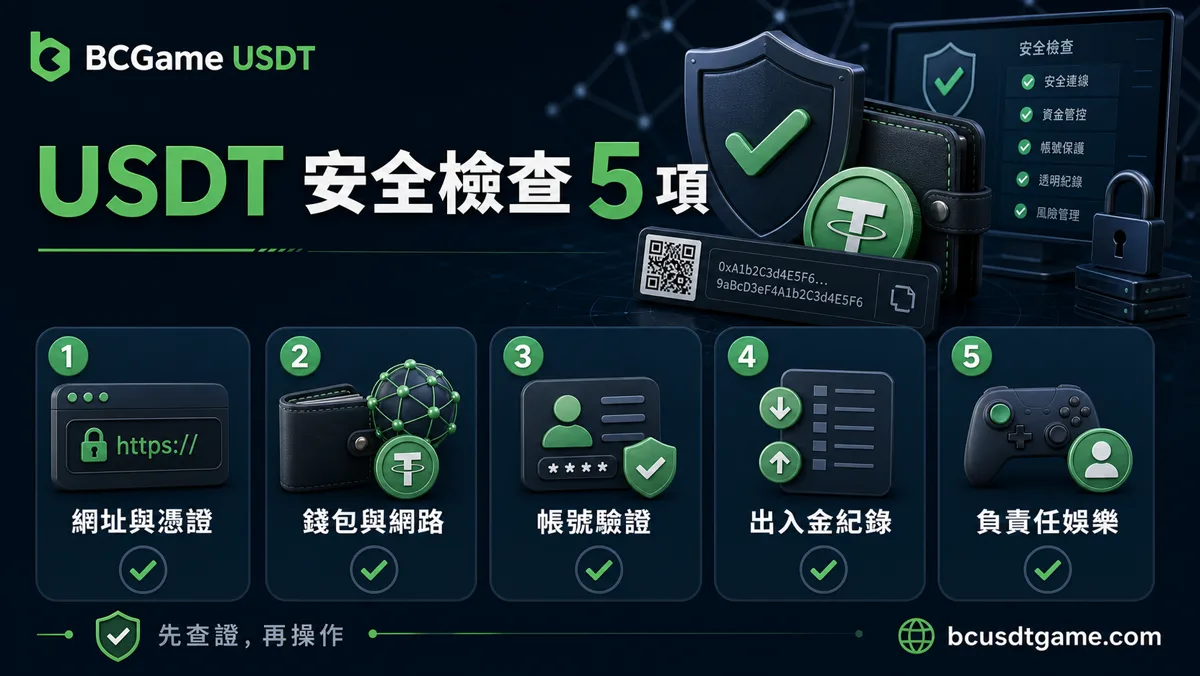USDT 安全檢查 5 項：網址與憑證、錢包與網路、帳號驗證、出入金紀錄、負責任娛樂